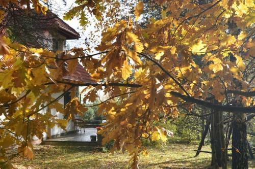 Villa Ochlip�wka. Dom Na Orawie