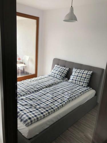 Apartament Ptasia
