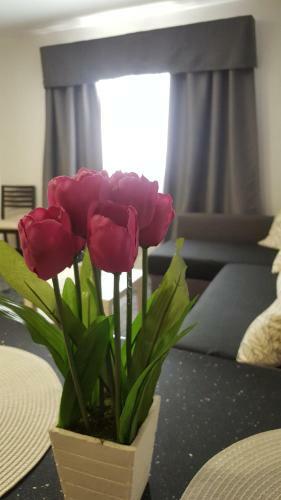 Apartamentos Dalia