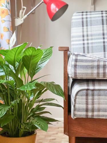 Apartament Antresola Stary Rynek