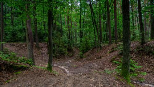 Agroturismo Siedlisko Pod Lasem