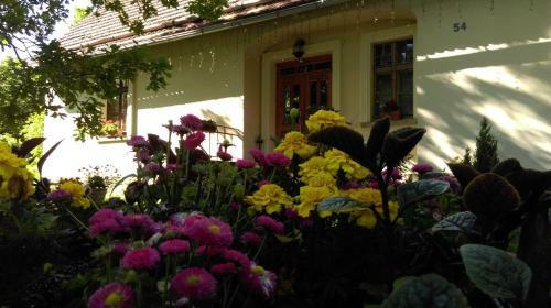 Agroturystyka Dom Pracy Tw�rczej