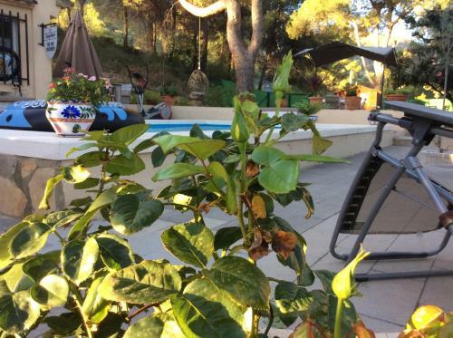 Bed & Breakfast Casa Jetizo