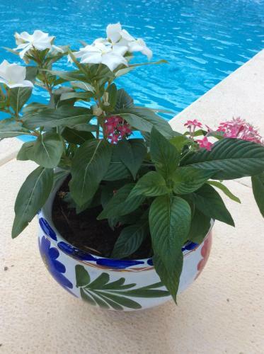 Bed & Breakfast Casa Jetizo