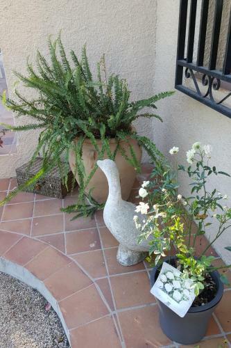 Bed & Breakfast Casa Jetizo
