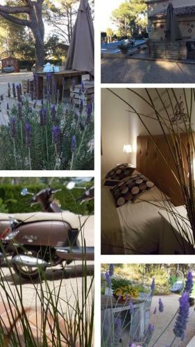 Bed & Breakfast Casa Jetizo