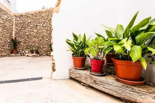 Posada Casa Ver�nica