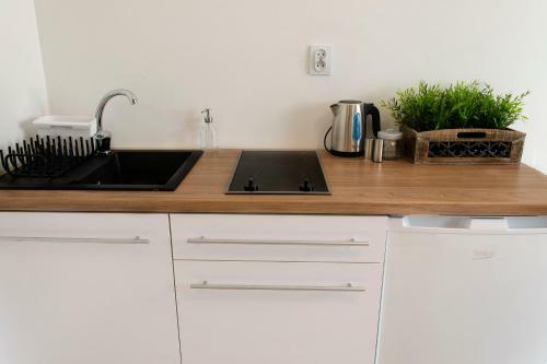 Apartamento Kamienica