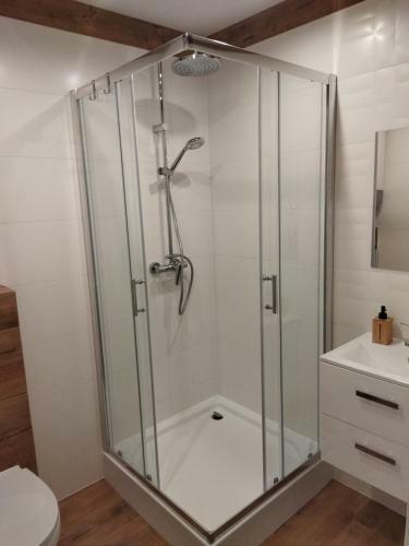 Apartamenty Modrzewiowa