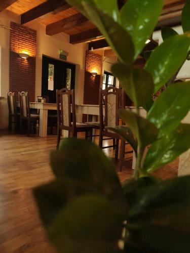 Bed & Breakfast Dobry Klimat