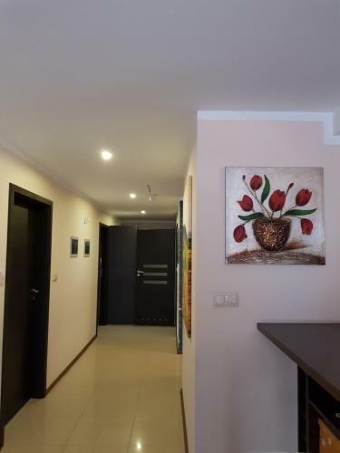 Apartament Pod Lasem