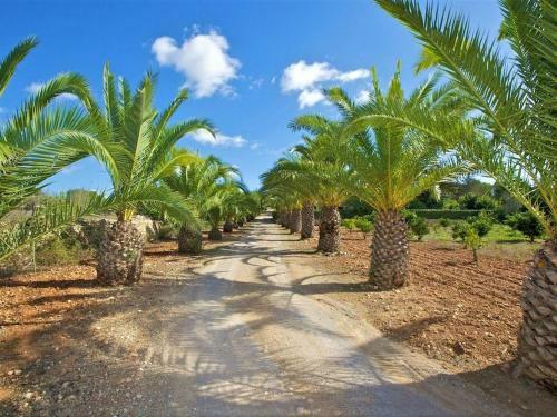 Sun-kissed Villa In S' Espinagar With A Private Pool
