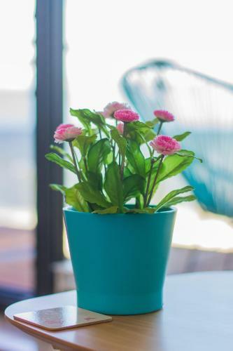Apartamenty Laguna Przy Latarni