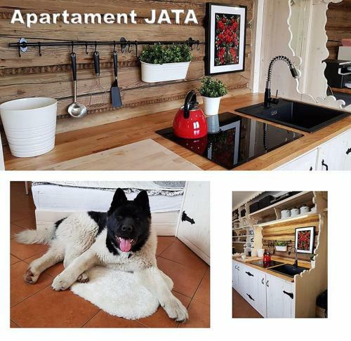 Apartamenty G�ralski Dach Nad G?ow?