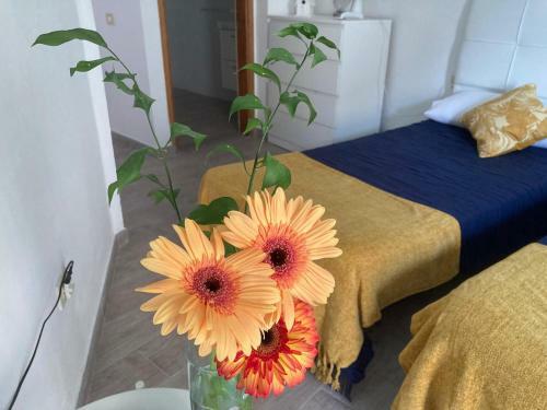 Apartamentos Eva Y Lola