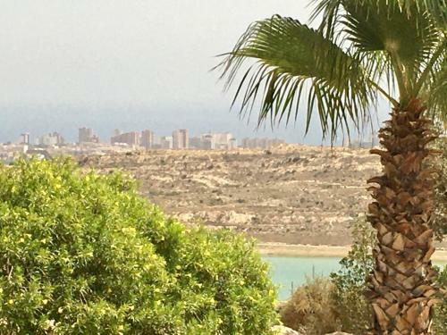 Apartamento Bonalba, Golf, Playas Y Piscinas