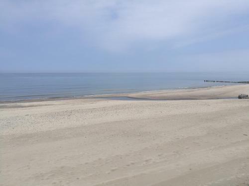 Apartament 5m�rz Leo