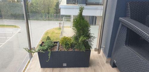 Apartament S?oneczny Pi?? M�rz Siano??ty