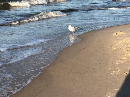 Apartamento Villa Mare 300 M Vom Strand Entfernt