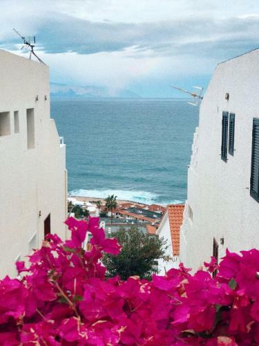 Apartment Las Arenas Ocean View