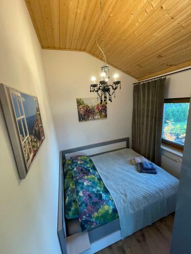 Apartament Flamingo