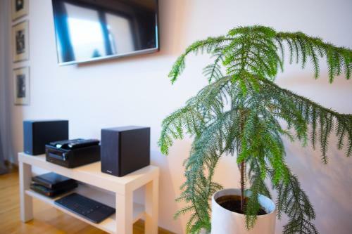 Zborowskiego Apartament