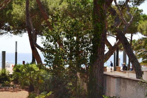 Apartamento Con Jard�n Platja D'aro
