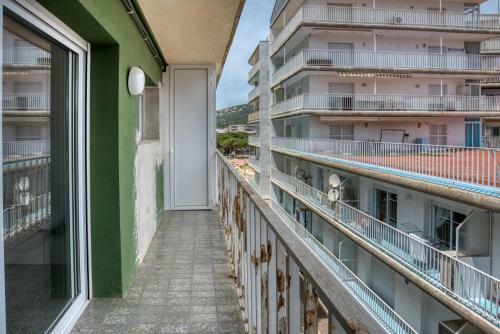 Apartamento Albatros