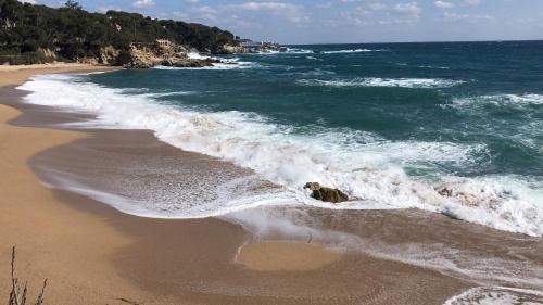 Excepcional Apartamento 1� L�nea de Mar Platja D'aro Elypalace 10-2