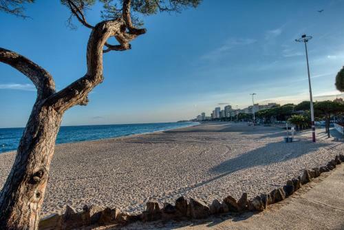 Apartamento Old Side Duplex Platja D Aro