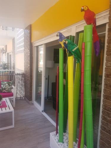Apartamento Espectacular