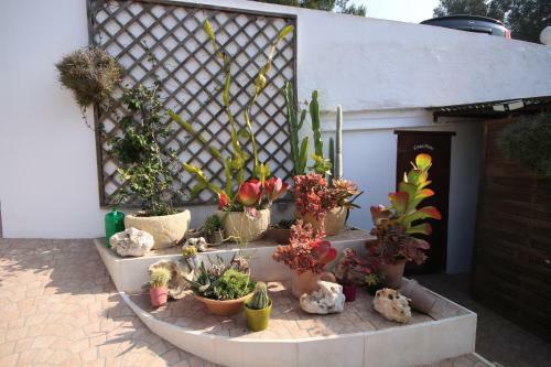 Apartamento Casa Dieter