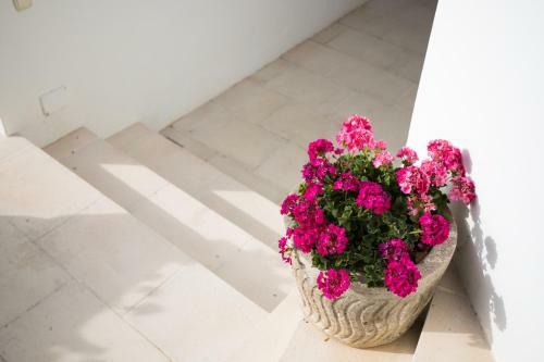Apartamento Estudio Gama