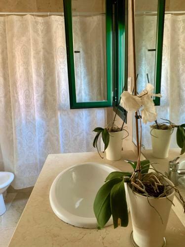 Agradable Y Tranquila Casa Con Piscina