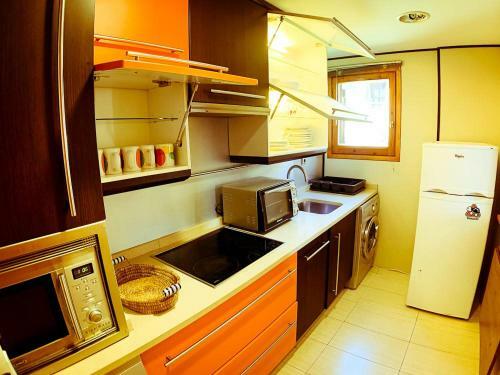 Apartamentos Formigal - Admite Mascotas