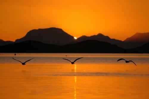 El Vivero Del Mar Menor