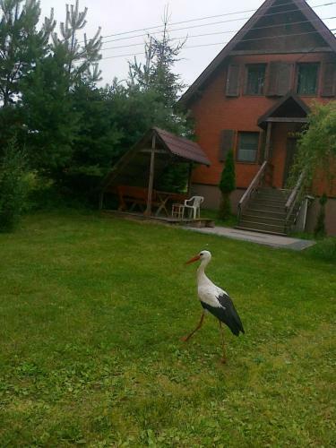 Apartamento Dom Nad Jeziorem