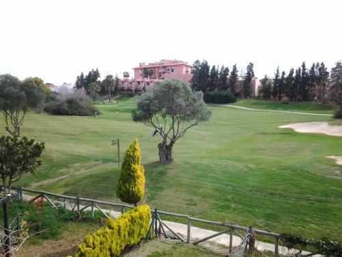 Olhando Um Campo de Golf