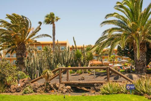 Apartamento Castillo Mar 87