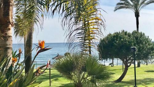 Mi Capricho B16 Beachfront Apartment
