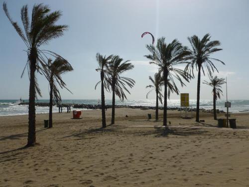 Apartamento Appartment Penthouse 7- 6