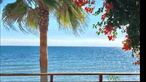 Mi Capricho C15 Beachfront Apartment