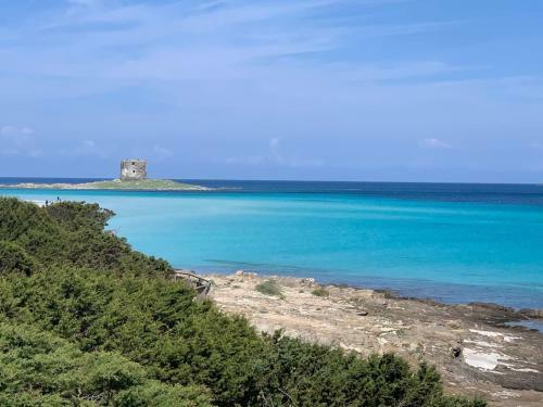 Appartamento Sole E Mare