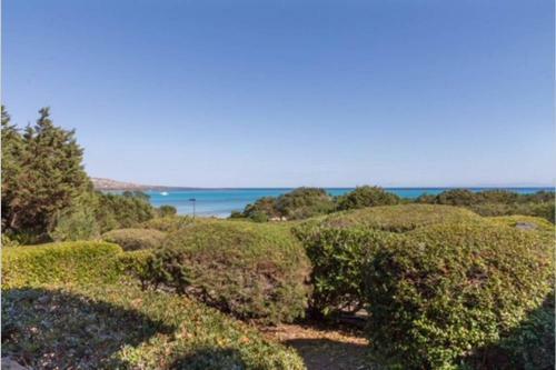 Stintino Villa Turchese Sardinia