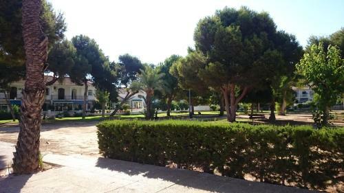 Apartament Dalia La Zenia