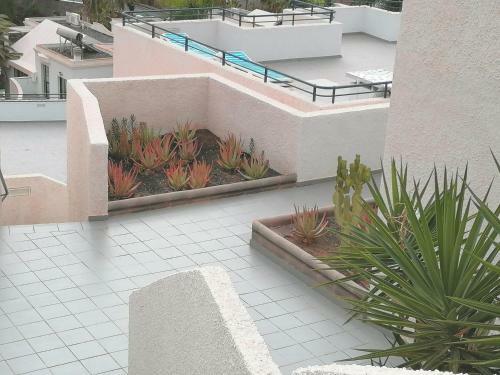 Marianela Apartment