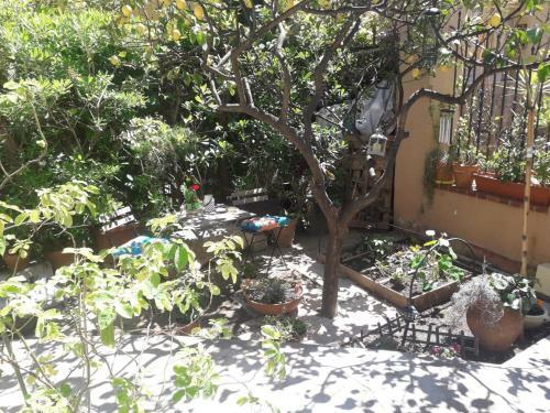 Apartamento Les Violettes