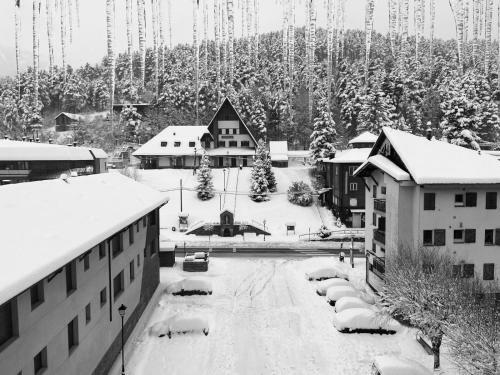 Apartamento Duplex En La Nieve