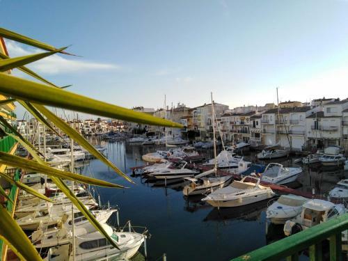 Apartamento Port Ducal