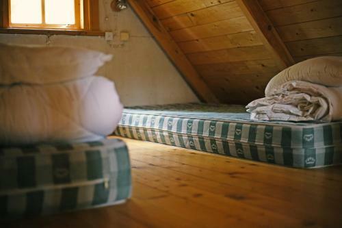Niidupuu Camping